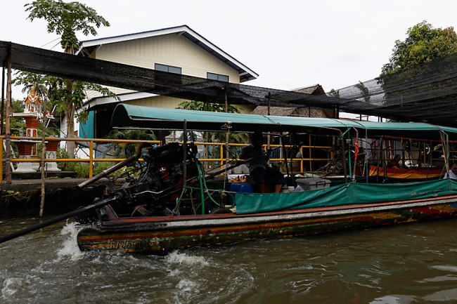 Talin chan-NOV13-079